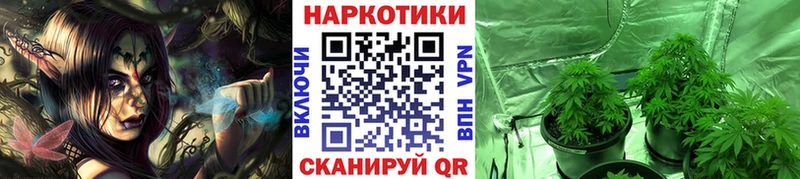 Продажа наркотиков Бузулук Гашиш  КОКАИН  МЕФ  СОЛЬ  Канабис 