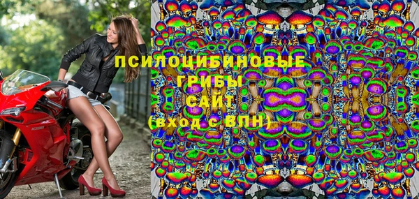 гашик Верея