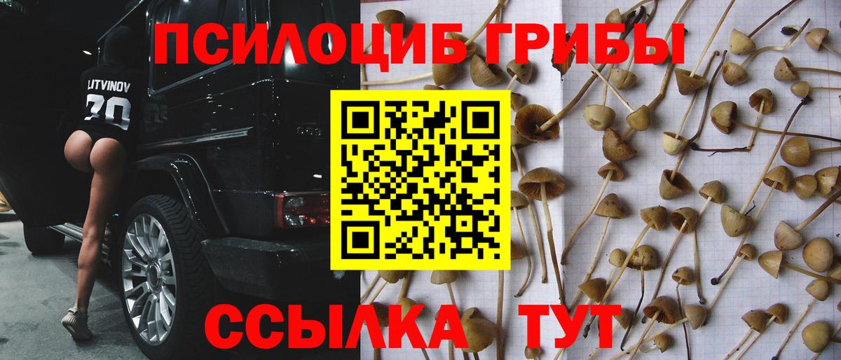 Псилоцибиновые грибы ЛСД  Вход с VPN  Бузулук 