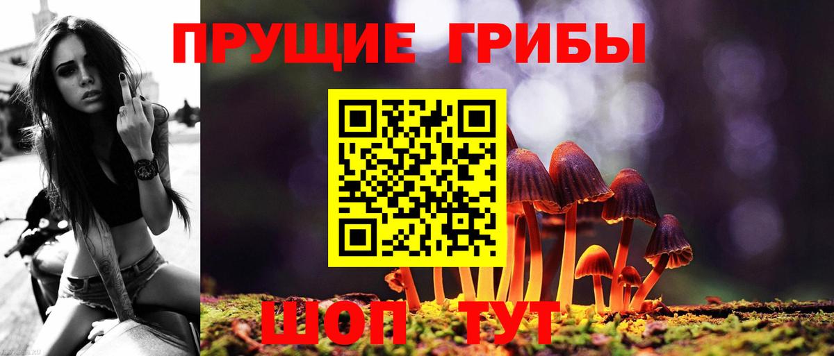 Псилоцибиновые грибы Cubensis Бузулук