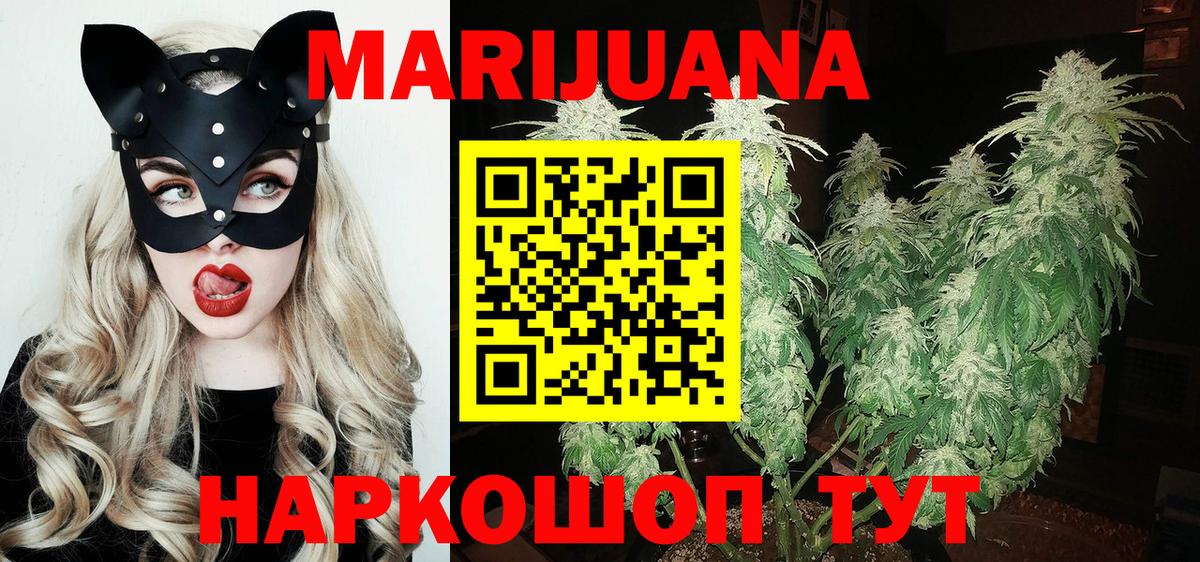 Бошки Шишки планчик Бузулук